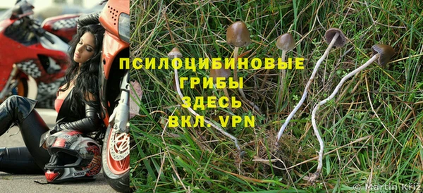 spice Волоколамск