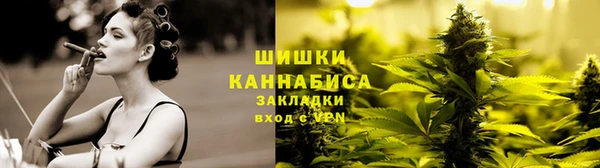 мдпв Тайга